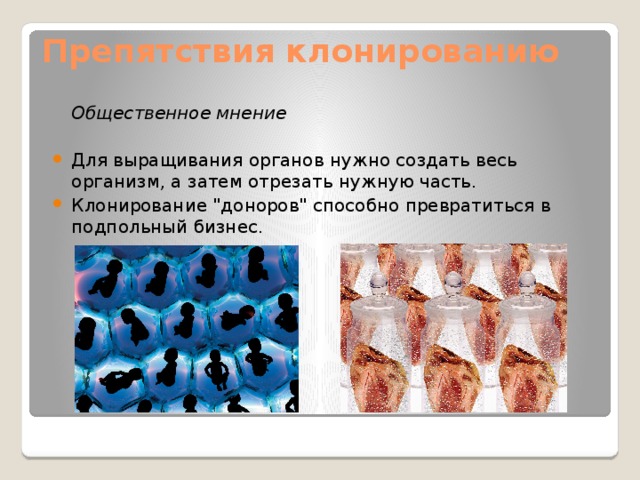 Препятствия клонированию    Общественное мнение  Для выращивания органов нужно создать весь организм, а затем отрезать нужную часть. Клонирование 