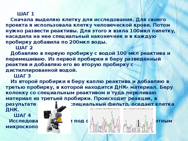  ШАГ 1  Сначала выделяю клетку для исследования. Для своего проекта я использовала клетку человеческой крови. Потом нужно развести реактивы. Для этого я взяла 100мкл пипетку, насадила на нее специальный наконечник и в каждую пробирку добавила по 200мкл воды.  ШАГ 2  Добавляю в первую пробирку с водой 100 мкл реактива и перемешиваю. Из первой пробирки я беру разведенный реактив и добавляю его во вторую пробирку с дистиллированной водой.  ШАГ 3  Из второй пробирки я беру каплю реактива и добавляю в третью пробирку, в которой находится ДНК- материал. Беру колонку со специальным реактивом и туда переливаю материал из третьей пробирки. Происходит реакция, в результате которой на специальный фильтр, оседает клетка ДНК.  ШАГ 4  Исследование мутации под специальным флуоресцентным микроскопом.   