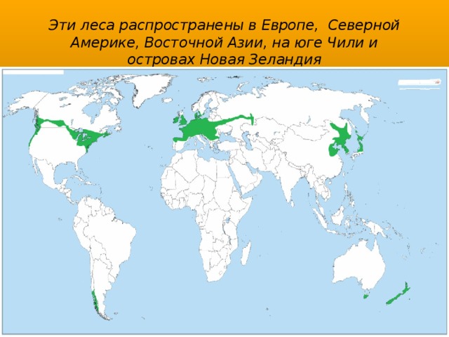 Эти леса распространены в Европе,  Северной Америке, Восточной Азии, на юге Чили и островах Новая Зеландия 