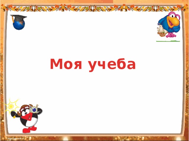   Моя учеба 