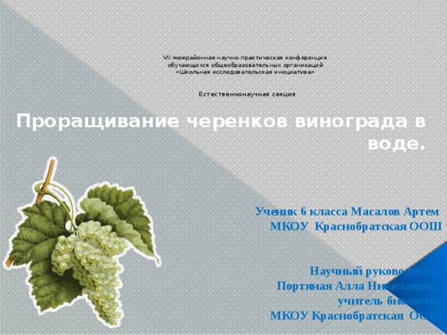      VII межрайонная научно-практическая конференция  обучающихся общеобразовательных организаций  «Школьная исследовательская инициатива»    Естественнонаучная секция   Проращивание черенков винограда в воде.  Ученик 6 класса Масалов Артем  МКОУ Краснобратская ООШ    Научный руководитель Портяная Алла Николаевна,  учитель биологии,  МКОУ Краснобратская ООШ 