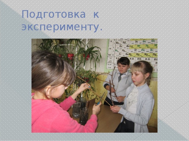 Подготовка к эксперименту. 
