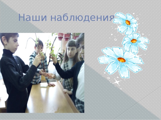 Наши наблюдения. 