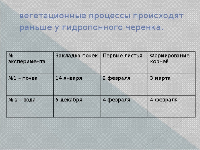вегетационные процессы происходят раньше у гидропонного черенка . № эксперимента Закладка почек № 1 – почва 14 января Первые листья № 2 - вода Формирование корней 2 февраля 5 декабря 3 марта 4 февраля 4 февраля  