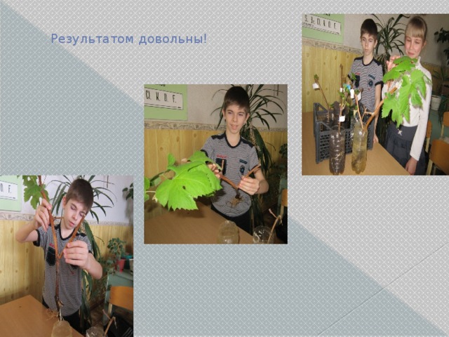 Результатом довольны! 