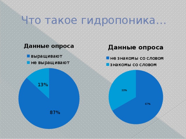 Что такое гидропоника… 