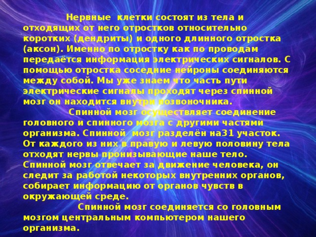  Нервные клетки состоят из тела и отходящих от него отростков относительно коротких (дендриты) и одного длинного отростка (аксон). Именно по отростку как по проводам передаётся информация электрических сигналов. С помощью отростка соседние нейроны соединяются между собой. Мы уже знаем что часть пути электрические сигналы проходят через спинной мозг он находится внутри позвоночника.  Спинной мозг осуществляет соединение головного и спинного мозга с другими частями организма. Спинной мозг разделён на31 участок. От каждого из них в правую и левую половину тела отходят нервы пронизывающие наше тело. Спинной мозг отвечает за движение человека, он следит за работой некоторых внутренних органов, собирает информацию от органов чувств в окружающей среде.  Спинной мозг соединяется со головным мозгом центральным компьютером нашего организма. 