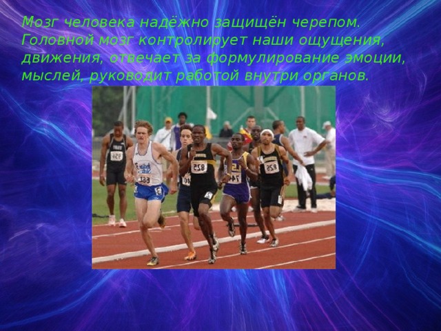 Мозг человека надёжно защищён черепом. Головной мозг контролирует наши ощущения, движения, отвечает за формулирование эмоции, мыслей, руководит работой внутри органов. 