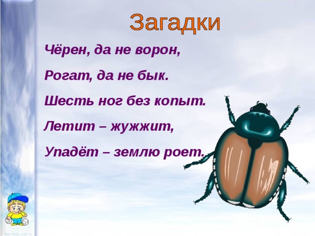 Чёрен, да не ворон, Рогат, да не бык. Шесть ног без копыт. Летит – жужжит, Упадёт – землю роет. 