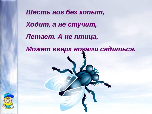 Шесть ног без копыт, Ходит, а не стучит, Летает. А не птица, Может вверх ногами садиться. 