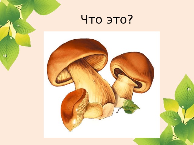 Что это? Глубоко был спрятан он, Раз-два-три - и вышел вон, И стоит он на виду. Белый, я тебя найду. 