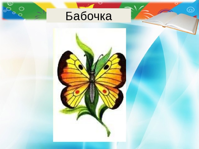 Бабочка 