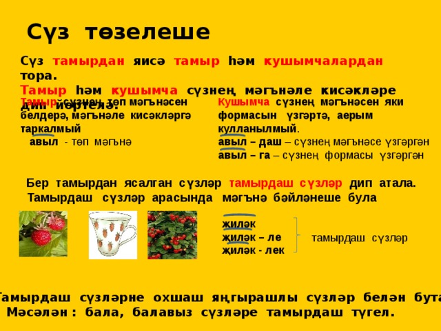 Сүз төзелеше Сүз тамырдан яисә тамыр һәм кушымчалардан тора. Тамыр һәм кушымча сүзнең мәгънәле кисәкләре дип йөртелә. Тамыр сүзнең төп мәгънәсен белдерә, мәгънәле кисәкләргә таркалмый Кушымча сүзнең мәгънәсен яки  авыл - төп мәгънә формасын үзгәртә, аерым кулланылмый . авыл – даш – сүзнең мәгънәсе үзгәргән авыл – га – сүзнең формасы үзгәргән  Бер тамырдан ясалган сүзләр тамырдаш сүзләр дип атала.  Тамырдаш сүзләр арасында мәгънә бәйләнеше була җиләк җиләк – ле җиләк - лек тамырдаш сүзләр Тамырдаш сүзләрне охшаш яңгырашлы сүзләр белән бутама!  Мәсәлән : бала, балавыз сүзләре тамырдаш түгел. 