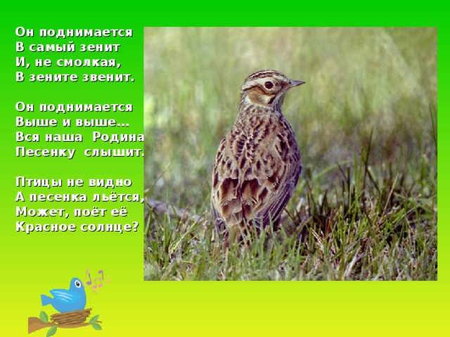 Он поднимается В самый зенит И, не смолкая, В зените звенит.  Он поднимается Выше и выше… Вся наша Родина Песенку слышит.  Птицы не видно А песенка льётся, Может, поёт её Красное солнце?  