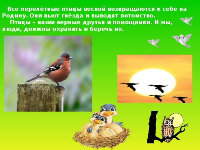  Все перелётные птицы весной возвращаются к себе на  Родину.  Они вьют гнёзда и выводят потомство.  Птицы – наши верные друзья и помощники. И мы, люди, должны охранять и беречь их.  