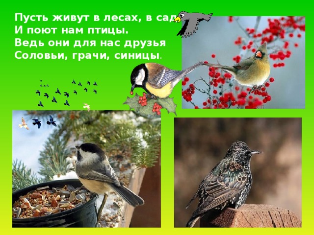 Пусть живут в лесах, в садах И поют нам птицы. Ведь они для нас друзья Соловьи, грачи, синицы . 