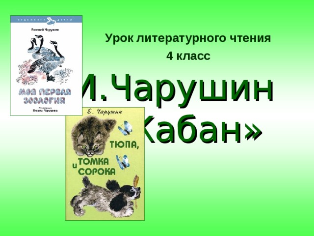  Урок литературного чтения 4 класc Е.И.Чарушин  «Кабан» 