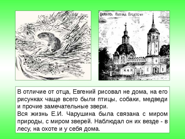 В отличие от отца, Евгений рисовал не дома, на его рисунках чаще всего были птицы, собаки, медведи и прочие замечательные звери. Вся жизнь Е.И. Чарушина была связана с миром природы, с миром зверей. Наблюдал он их везде - в лесу, на охоте и у себя дома. 