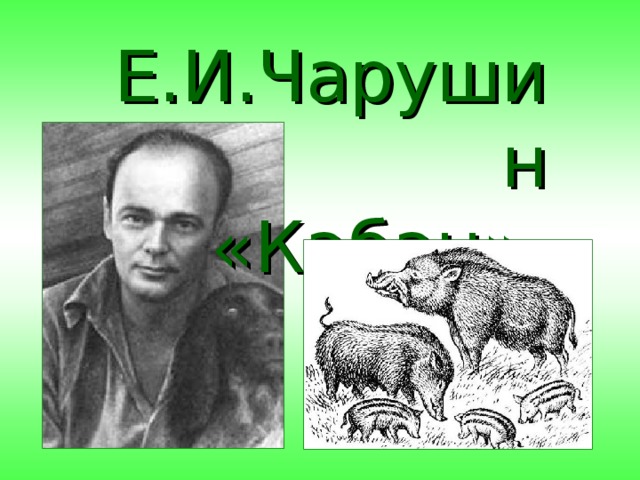 Е.И.Чарушин  «Кабан» 