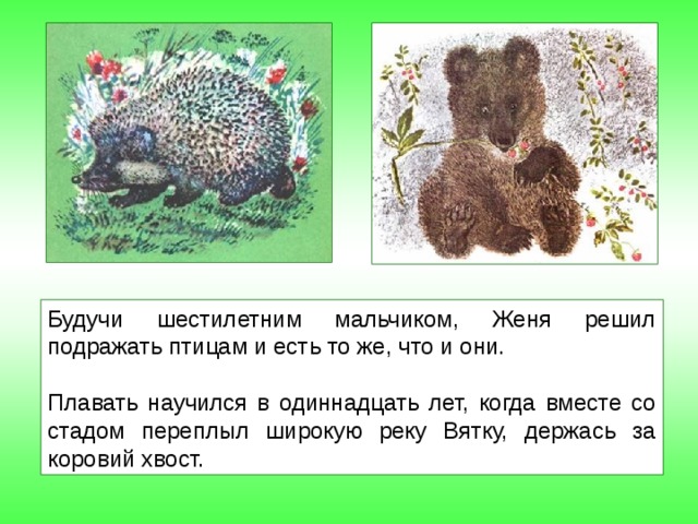 Будучи шестилетним мальчиком, Женя решил подражать птицам и есть то же, что и они. Плавать научился в одиннадцать лет, когда вместе со стадом переплыл широкую реку Вятку, держась за коровий хвост. 