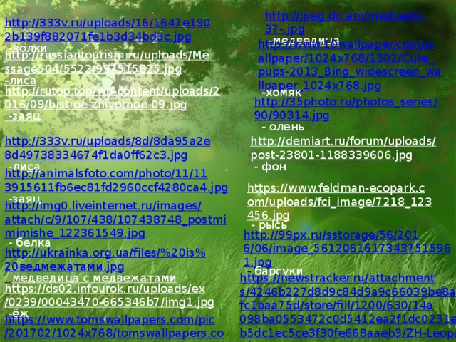 http://jpeg.do.am/medvedi/-37-.jpg  -медведица http://333v.ru/uploads/16/1647e1902b139f882071fe1b3d34bd3c.jpg  -волки http://www.10wallpaper.com/wallpaper/1024x768/1302/Cute_pups-2013_Bing_widescreen_wallpaper_1024x768.jpg  -хомяк http://russiantourism.ru/uploads/Message504/5522/997515825.jpg -лиса http://rutop.top/wp-content/uploads/2016/09/bistroe-zhivotnoe-09.jpg  -заяц http://35photo.ru/photos_series/90/90314.jpg  - олень http://333v.ru/uploads/8d/8da95a2e8d49738334674f1da0ff62c3.jpg  - лиса http://demiart.ru/forum/uploads/post-23801-1188339606.jpg  - фон http://animalsfoto.com/photo/11/113915611fb6ec81fd2960ccf4280ca4.jpg  -заяц https://www.feldman-ecopark.com/uploads/fci_image/7218_123456.jpg  - рысь http://img0.liveinternet.ru/images/attach/c/9/107/438/107438748_postmimimishe_122361549.jpg  - белка http://99px.ru/sstorage/56/2016/06/image_56120616173437515961.jpg  - барсуки http://ukrainka.org.ua/files/%20із%20ведмежатами.jpg  медведица с медвежатами https://newstracker.ru/attachments/4246b227d8d9c84d9a9c66039be8a95fc1baa75d/store/fill/1200/630/14a098ba0553472c0d5412ea2f1dc0231e76b5dc1ec5ce3f30fe668aaeb3/ZH-Leopard_2_ZAGRUZE.RU.jpg  - леопард https://ds02.infourok.ru/uploads/ex/0239/00043470-665346b7/img1.jpg  -ёж https://www.tomswallpapers.com/pic/201702/1024x768/tomswallpapers.com-93738.jpg  - ёж 