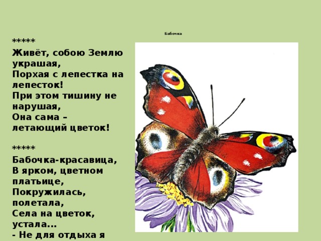     Бабочка  ***** Живёт, собою Землю украшая,  Порхая с лепестка на лепесток!  При этом тишину не нарушая,  Она сама – летающий цветок!   ***** Бабочка-красавица,  В ярком, цветном платьице,  Покружилась, полетала,  Села на цветок, устала...  - Не для отдыха я села,  Я нектар цветочный ела.   