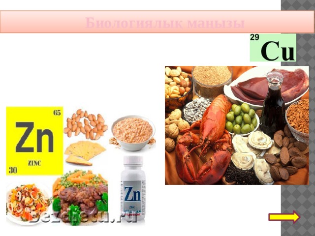 Биологиялық маңызы 