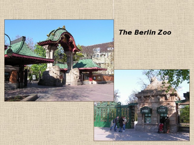 The Berlin Zoo 
