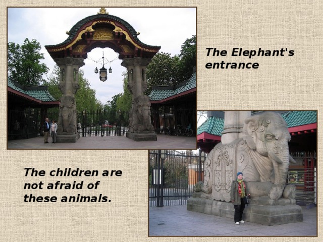   The Elephant's entrance The children are not afraid of these animals. 