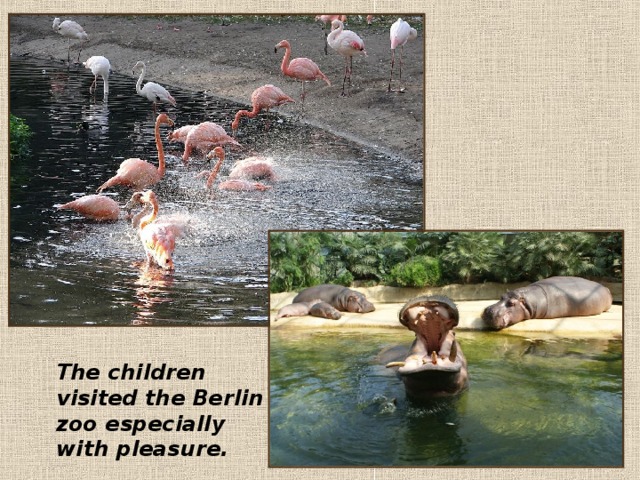 The children visit ed the Berlin zoo especially with pleasure. 