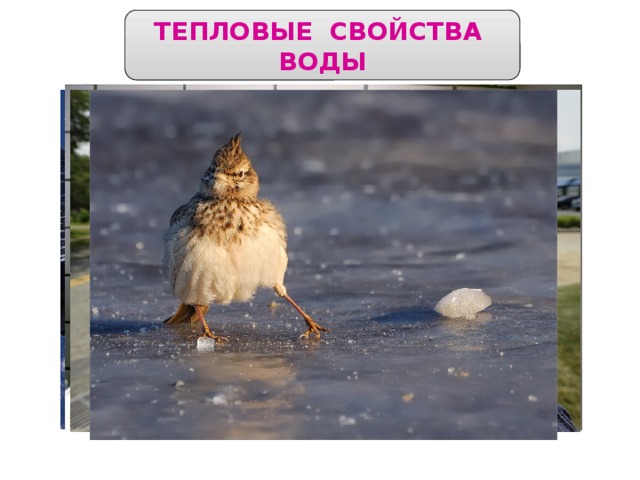 ТЕПЛОВЫЕ СВОЙСТВА ВОДЫ 