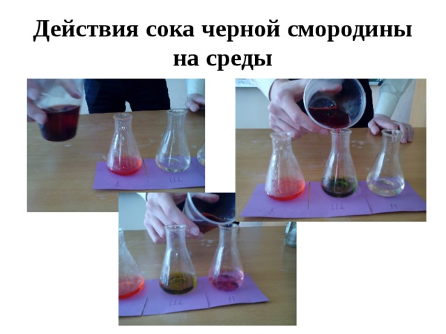 Действия сока черной смородины на среды 