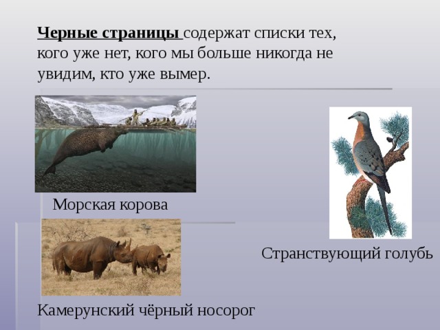 Черные страницы содержат списки тех, кого уже нет, кого мы больше никогда не увидим, кто уже вымер. Морская корова Странствующий голубь Камерунский чёрный носорог 