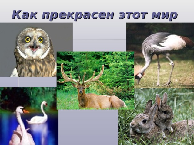 Как прекрасен этот мир 