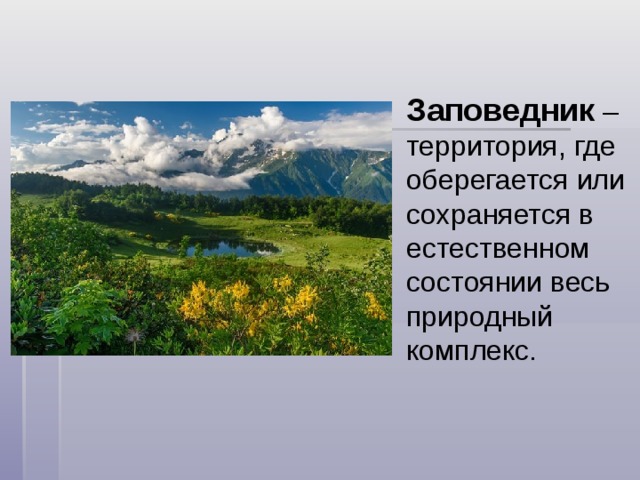 Заповедник – территория, где оберегается или сохраняется в естественном состоянии весь природный комплекс. 
