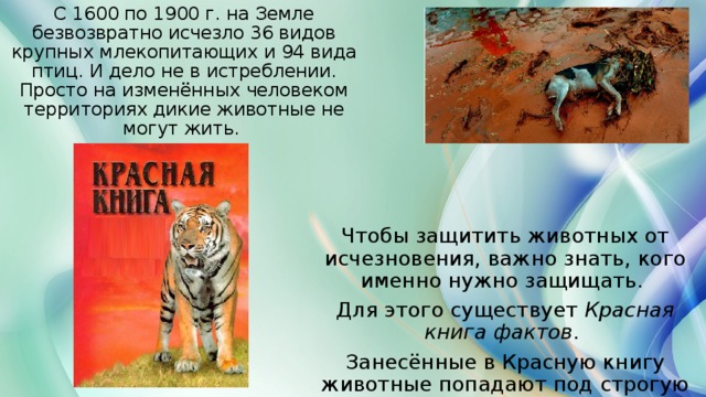 С 1600 по 1900 г. на Земле безвозвратно исчезло 36 видов крупных млекопитающих и 94 вида птиц. И дело не в истреблении. Просто на изменённых человеком территориях дикие животные не могут жить. Чтобы защитить животных от исчезновения, важно знать, кого именно нужно защищать. Для этого существует Красная книга фактов . Занесённые в Красную книгу животные попадают под строгую охрану. 