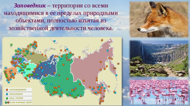 Заповедник – территория со всеми находящимися в ее пределах природными объектами, полностью изъятая из хозяйственной деятельности человека. 