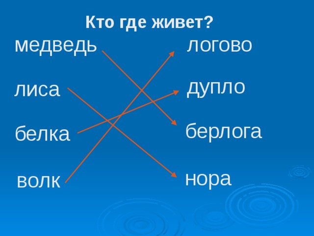 Кто где живет? медведь логово дупло лиса берлога белка нора волк 
