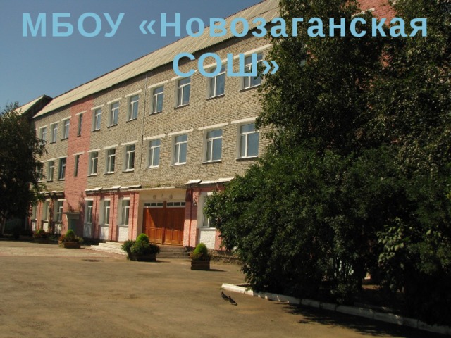 МБОУ «Новозаганская СОШ» 