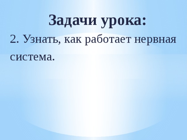 Задачи урока: 2. Узнать, как работает нервная система. 