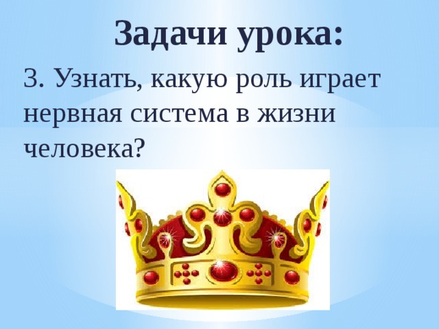 Задачи урока: 3. Узнать, какую роль играет нервная система в жизни человека? 