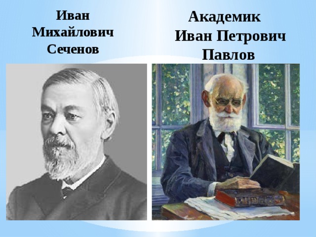 Иван Михайлович Сеченов Академик  Иван Петрович Павлов 