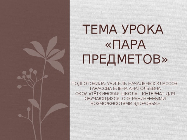 Тема урока  «Пара предметов»   ПОДГОТОВИЛА: УЧИТЕЛЬ НАЧАЛЬНЫХ КЛАССОВ ТАРАСОВА ЕЛЕНА Анатольевна  ОКОУ «Тёткинская школа – интернат для обучающихся с ограниченными возможностями здоровья» 