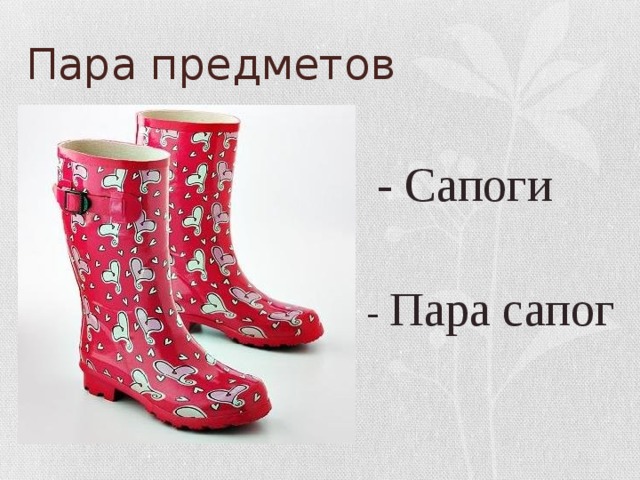 Пара предметов - Сапоги - Пара сапог 