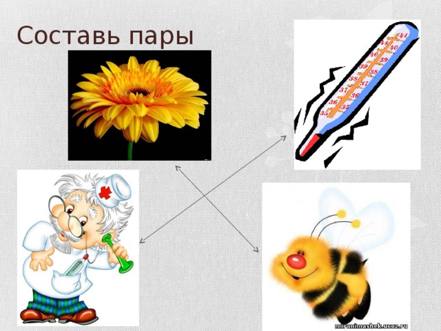 Составь пары 