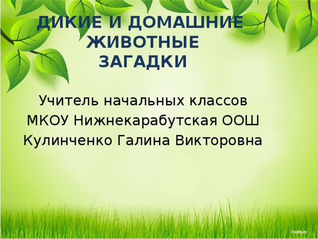 ДИКИЕ И ДОМАШНИЕ  ЖИВОТНЫЕ  ЗАГАДКИ   Учитель начальных классов МКОУ Нижнекарабутская ООШ Кулинченко Галина Викторовна 