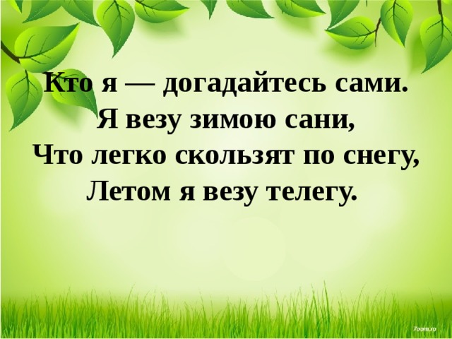 Кто я — догадайтесь сами.  Я везу зимою сани,  Что легко скользят по снегу,  Летом я везу телегу.   