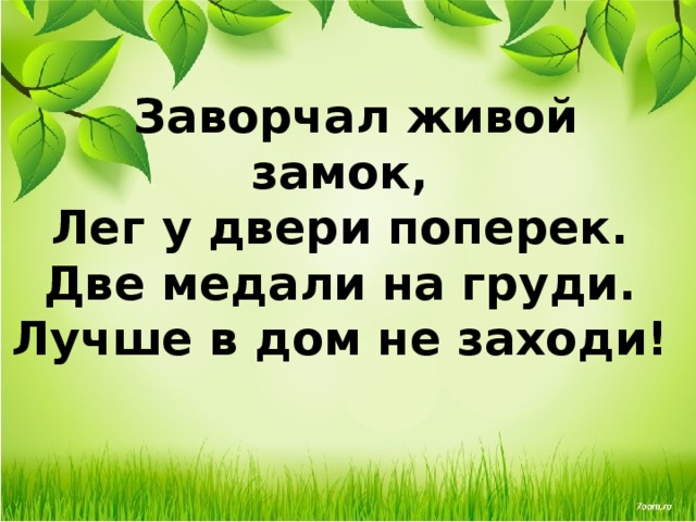  Заворчал живой замок,  Лег у двери поперек.  Две медали на груди.  Лучше в дом не заходи! 