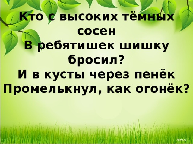 Кто с высоких тёмных сосен  В ребятишек шишку бросил?  И в кусты через пенёк  Промелькнул, как огонёк?   