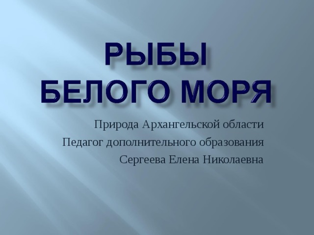 Природа Архангельской области Педагог дополнительного образования Сергеева Елена Николаевна 